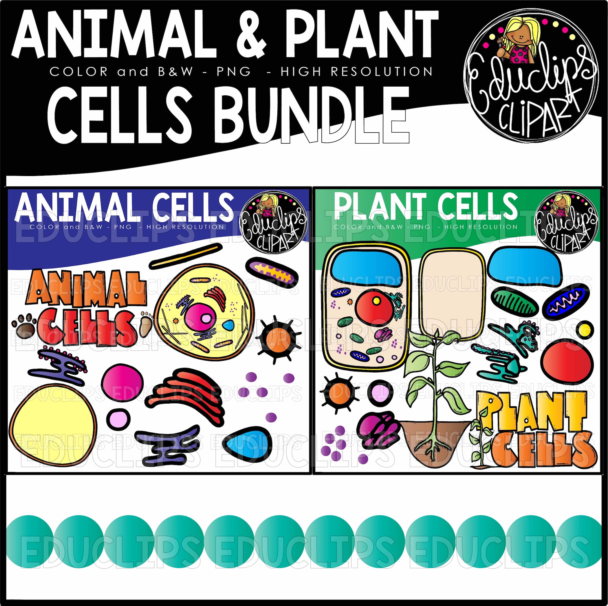 Animal and Plant Cells Clip Art Bundle.