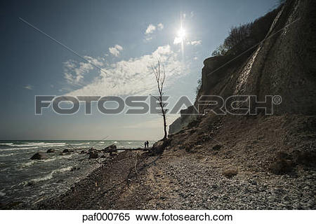 Stock Image of Denmark, Mon Island, Mons Klint Chalk cliffs.