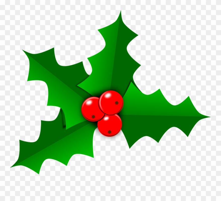 Holly Images Free Holly Christmas Leaf Free Vector.