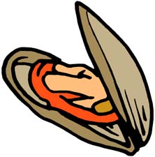 Clam Clipart.