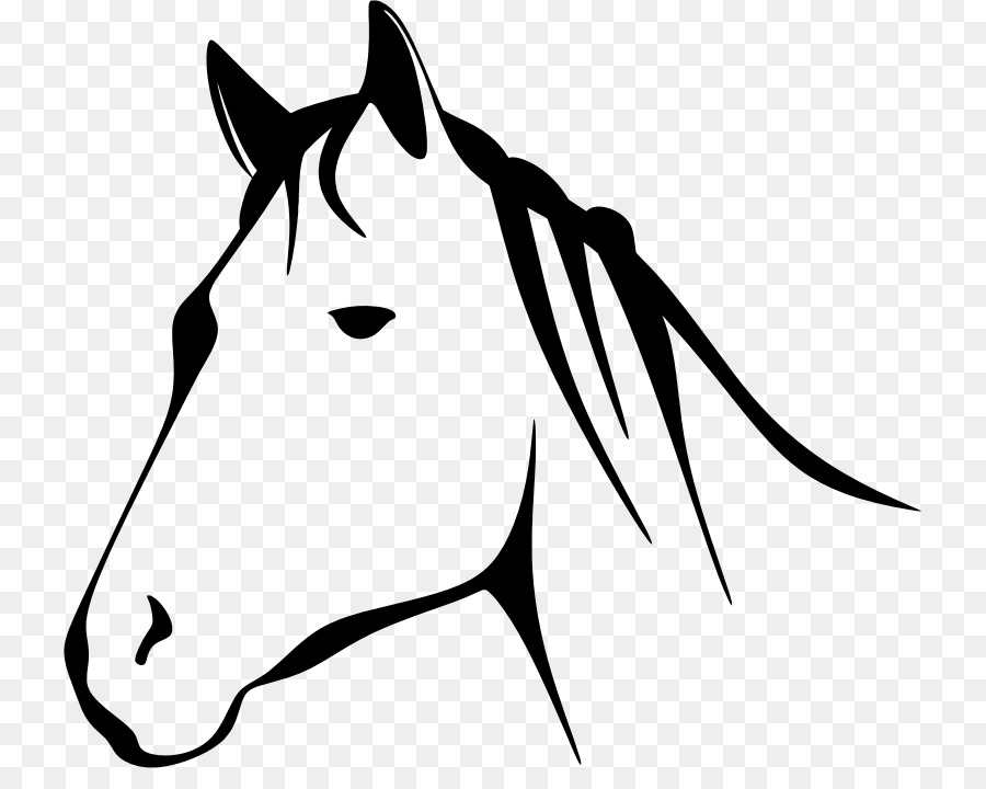 Horse, Illustration, Face, transparent png image & clipart free download.