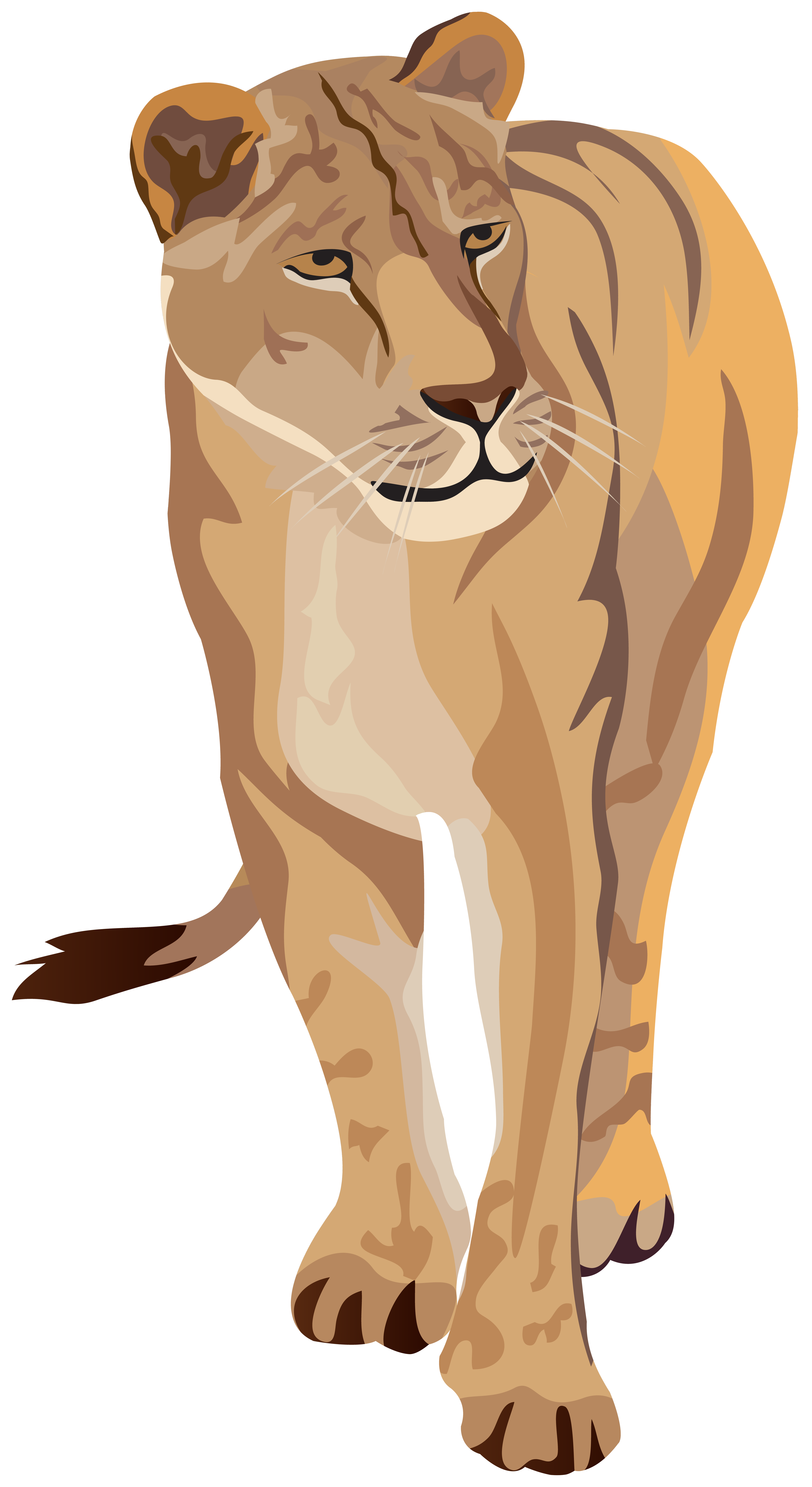 Lioness Clipart Image.