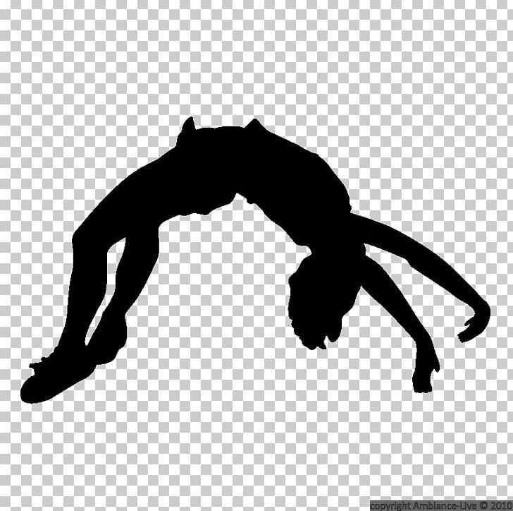 Silhouette Cheerleading Tumbling Gymnastics PNG, Clipart, Arm, Black.