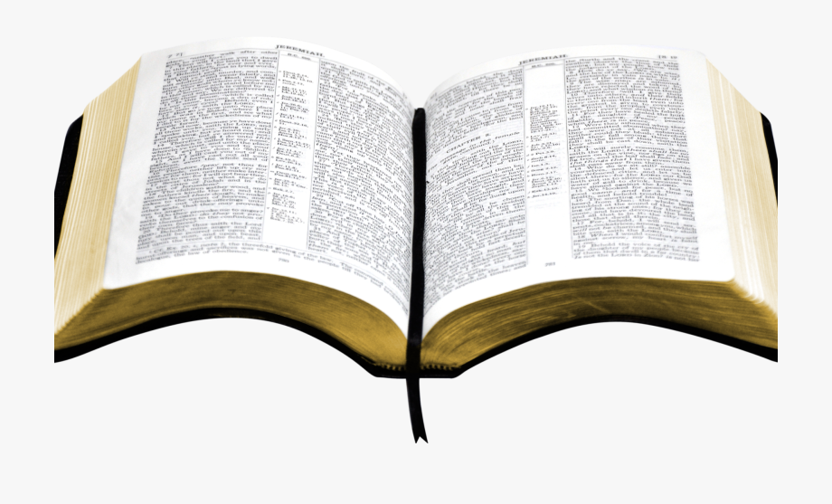 Open Bible Clipart.