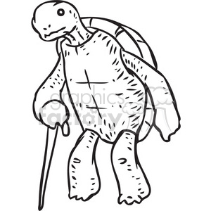 turtle clipart.