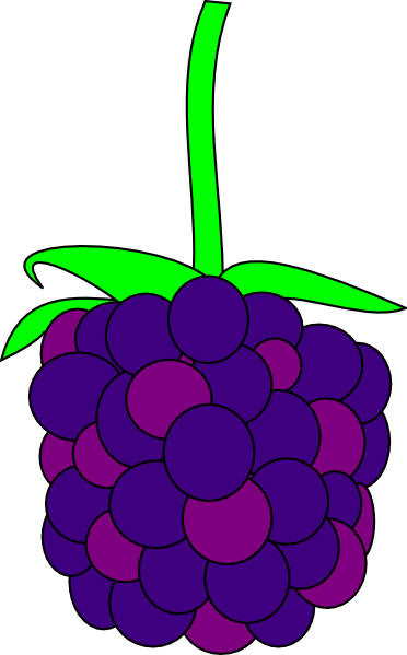 Blackberry cartoon clipart.