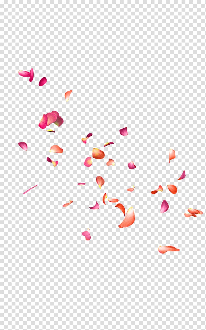 Pink flower petals illustration, Petal Flower Editing, scape.