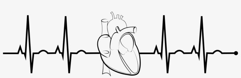 Ekg Realistic Heart Png Free Stock.