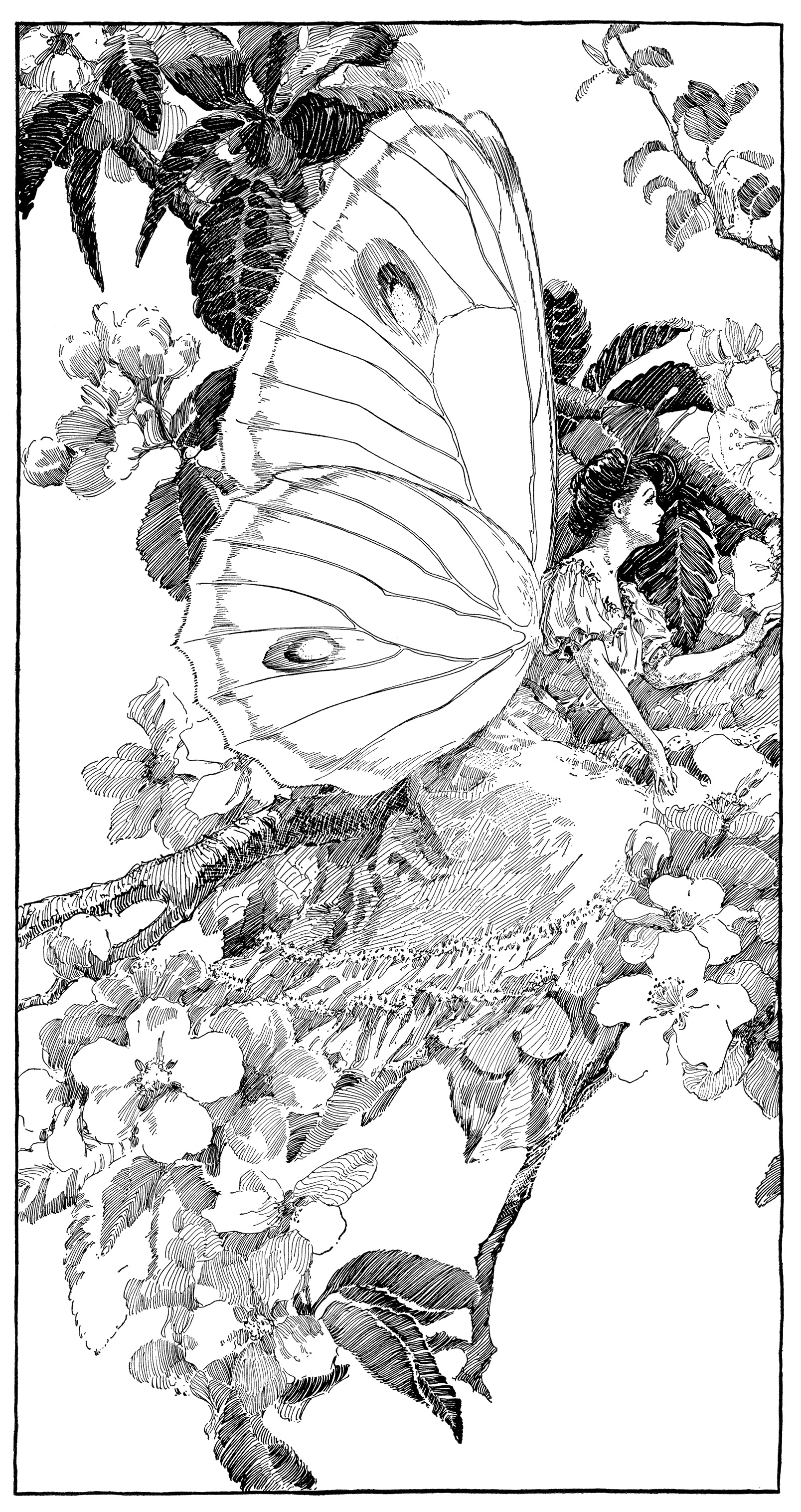 vintage clipart butterfly, printable fairy graphics, digital fairy.