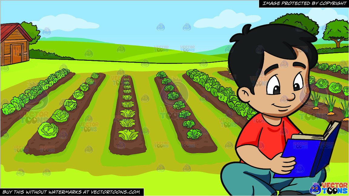 A Boy Reading A Novel and A Vegetable Garden Background.