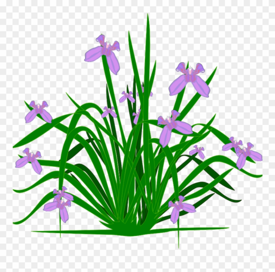 Free Clipart Plants Free Clipart Plants Plants Clip.