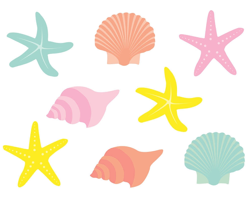 Seashells clipart Beautiful Cartoon Seashells » Clipart Station.