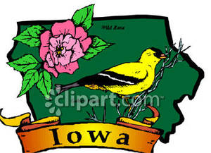 State Flower and Bird of Iowa.