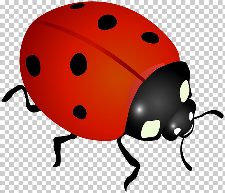 Ladybird Desktop , leaves and ladybugs PNG clipart.