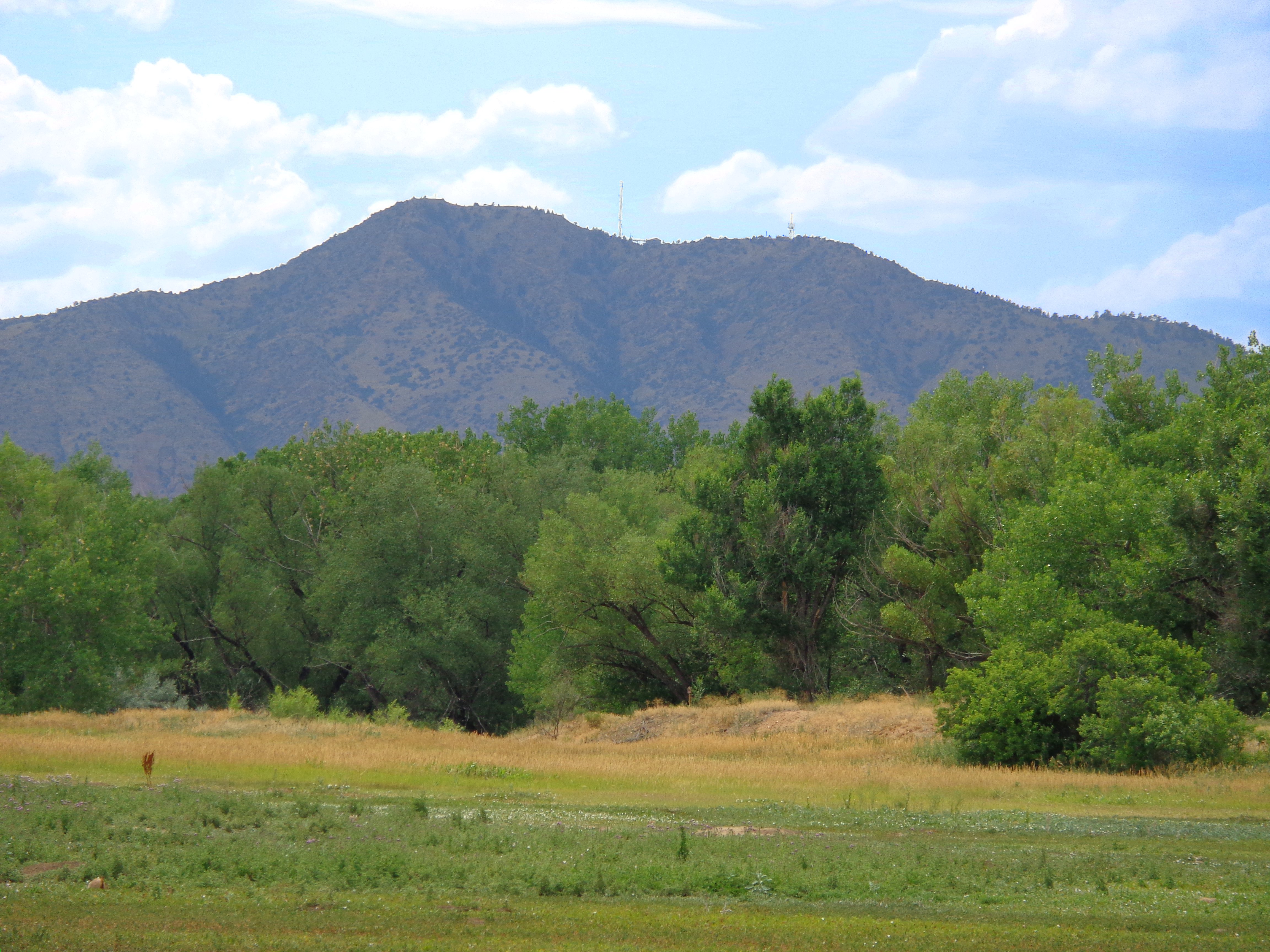 Clipart Mountain Tree Background.