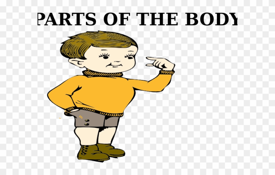 Body Clipart My Body.