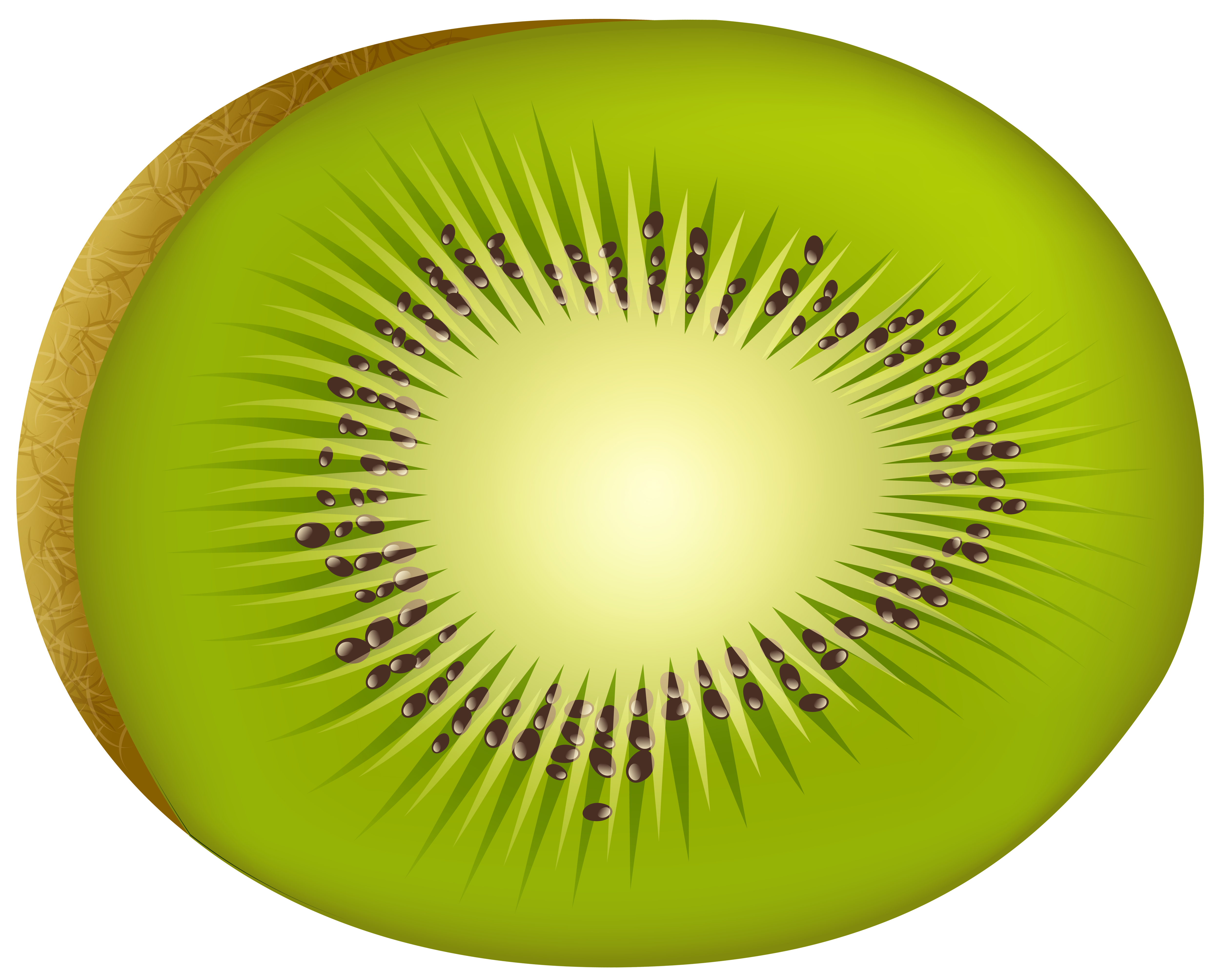 Kiwi PNG Clip Art.