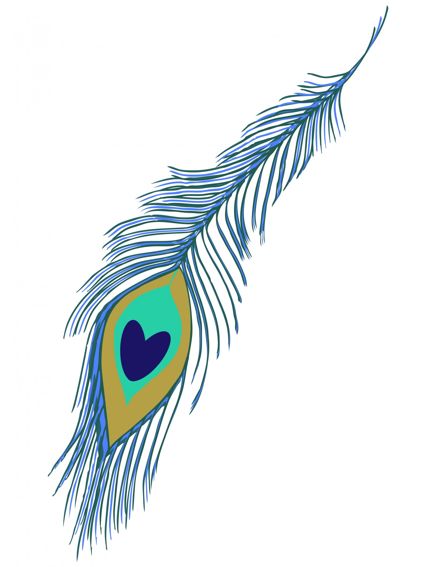 Peacock Feathers Clipart.