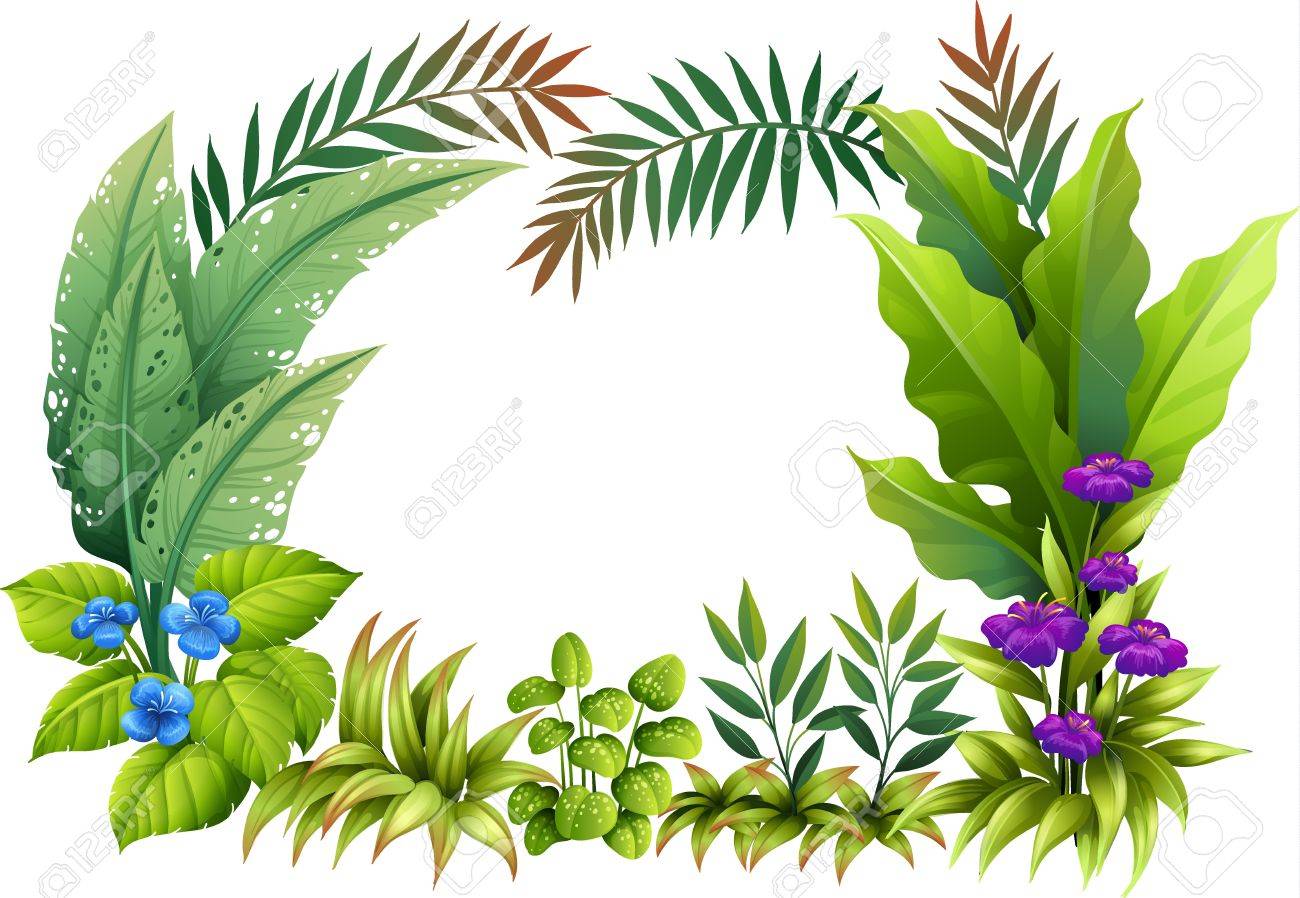 Illustration of plants and flowers on a white background.