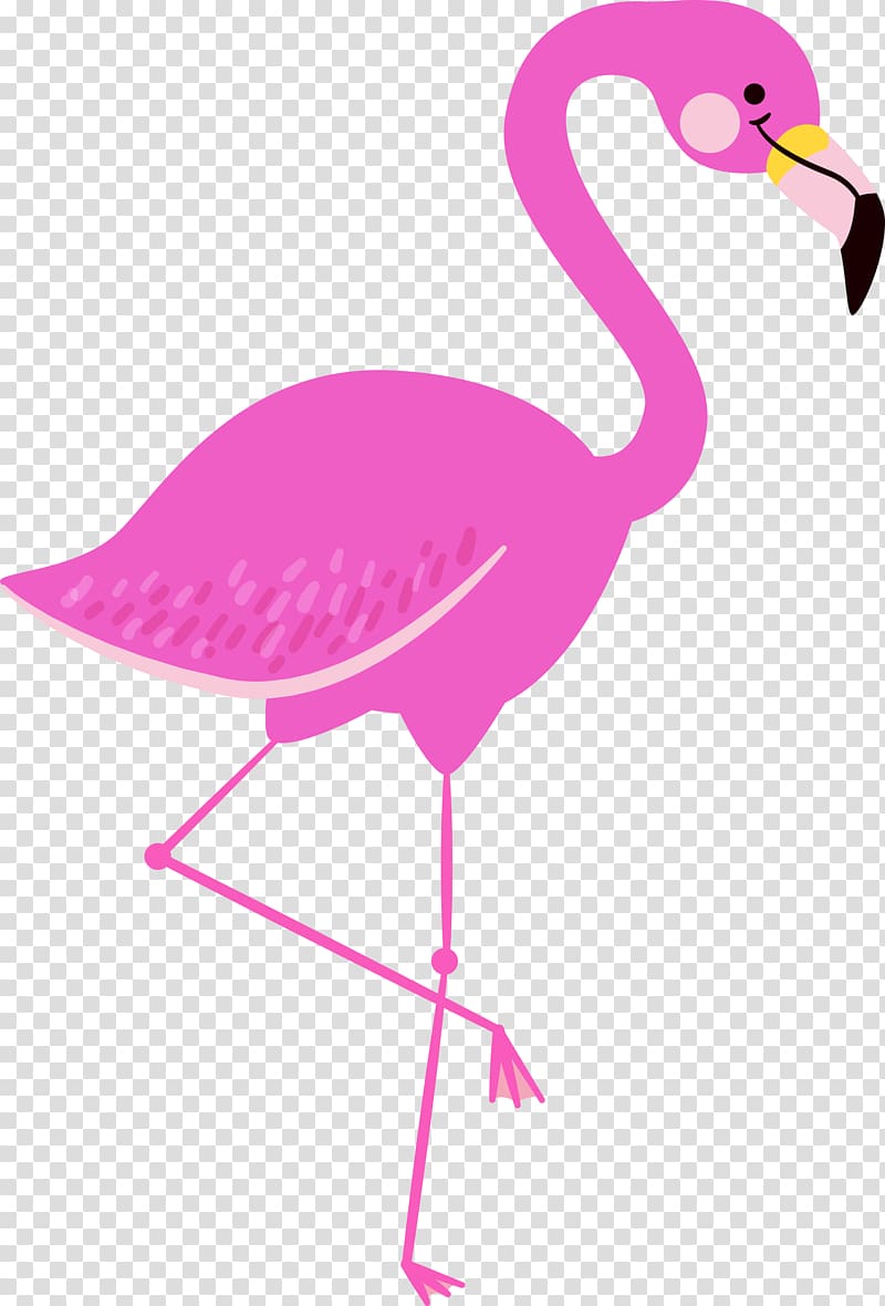 Pink flamingo , Flamingo , flamingo transparent background.