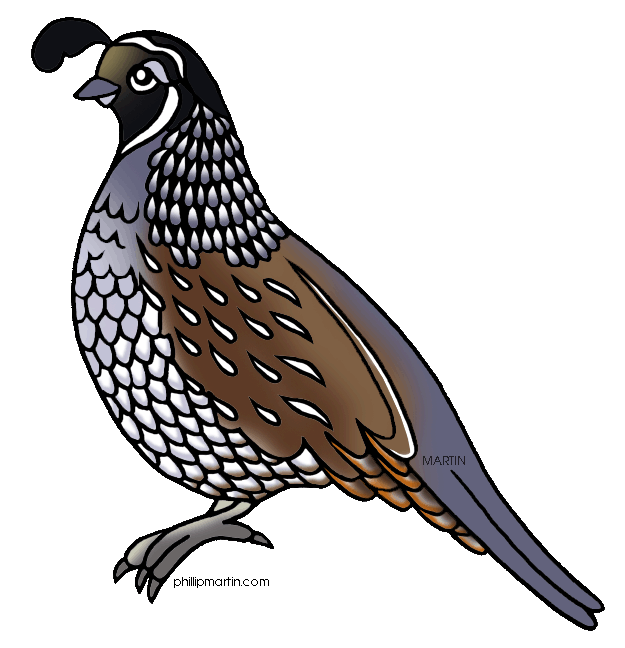 Clipart Of Quail.