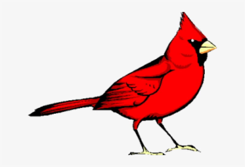 Graphic Freeuse Library Cardinal Clipart.