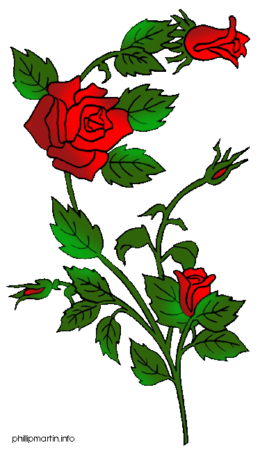 Rose Bush Clipart.