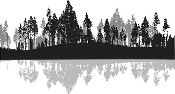 Treeline clipart 7 » Clipart Station.