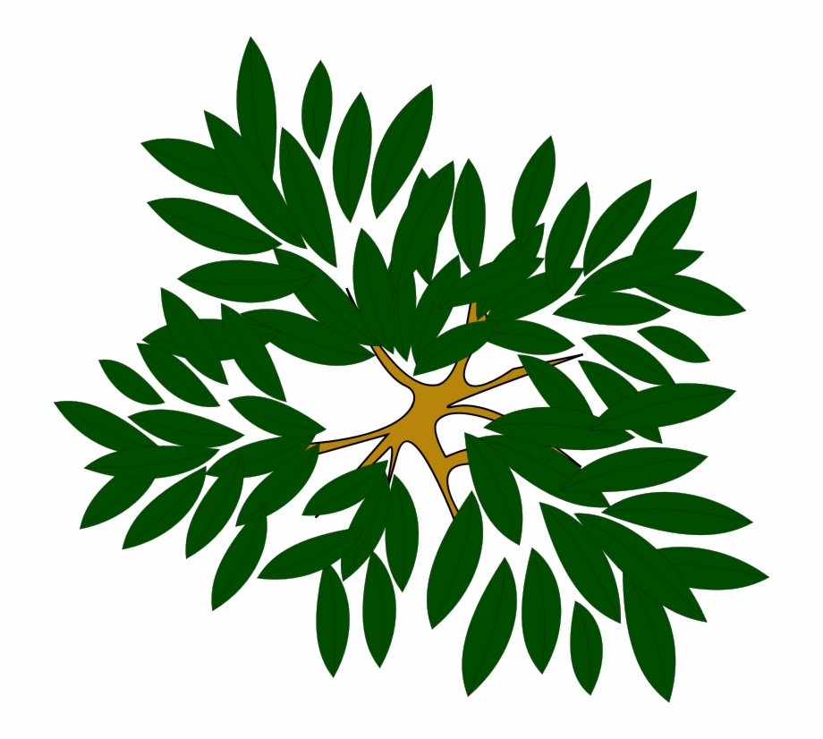 Tree Clump Clipart Icon Png.