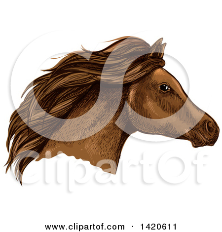 Clipart of a Sketched and Color Filled Brown Horse Head.