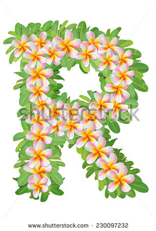 Alphabet flowers free stock photos download (10,867 Free stock.