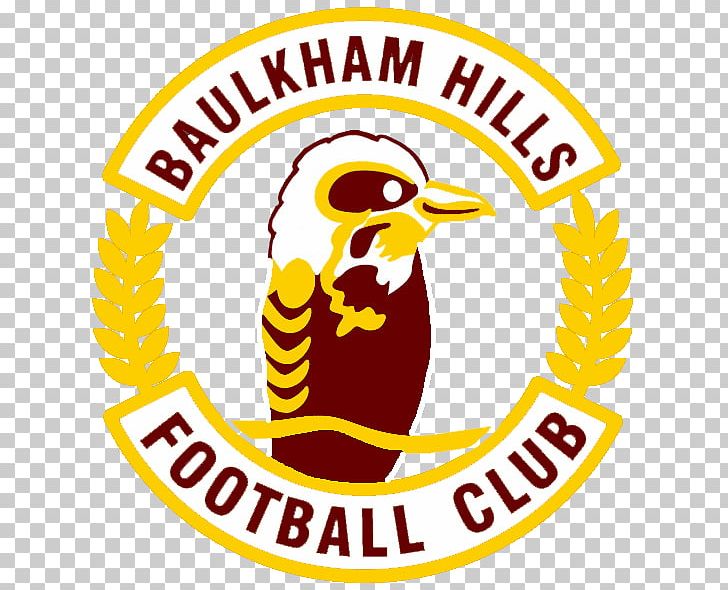 Baulkham Hills FC Hills Football Assiciation Football Team National.