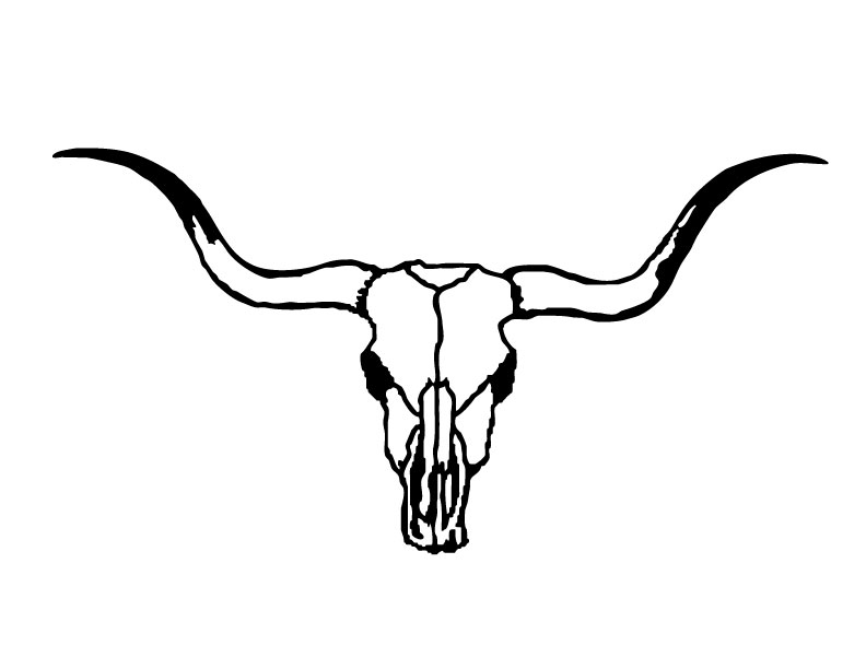 Cow Skull Drawing.