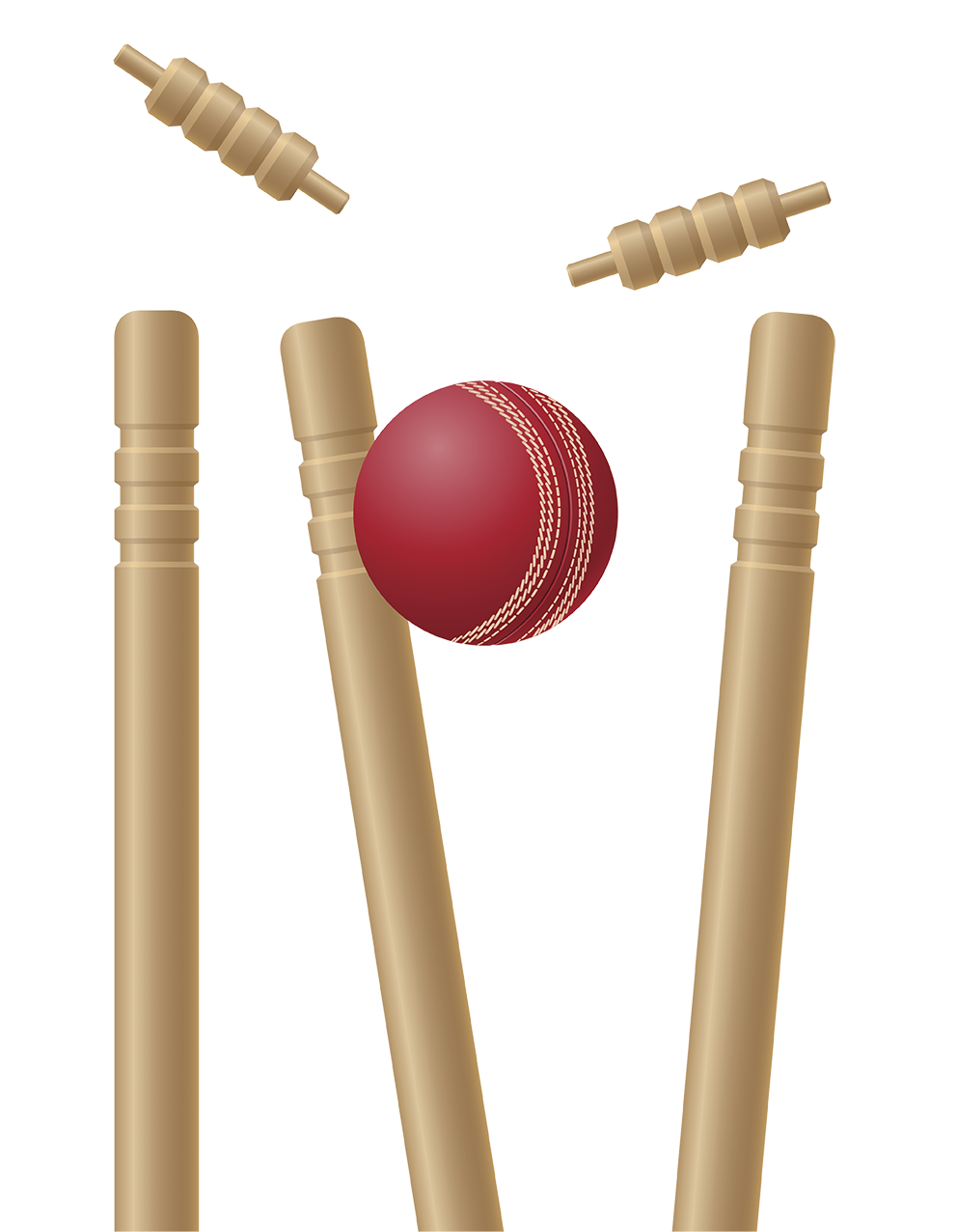 Cricket PNG Transparent Images, Pictures, Photos.