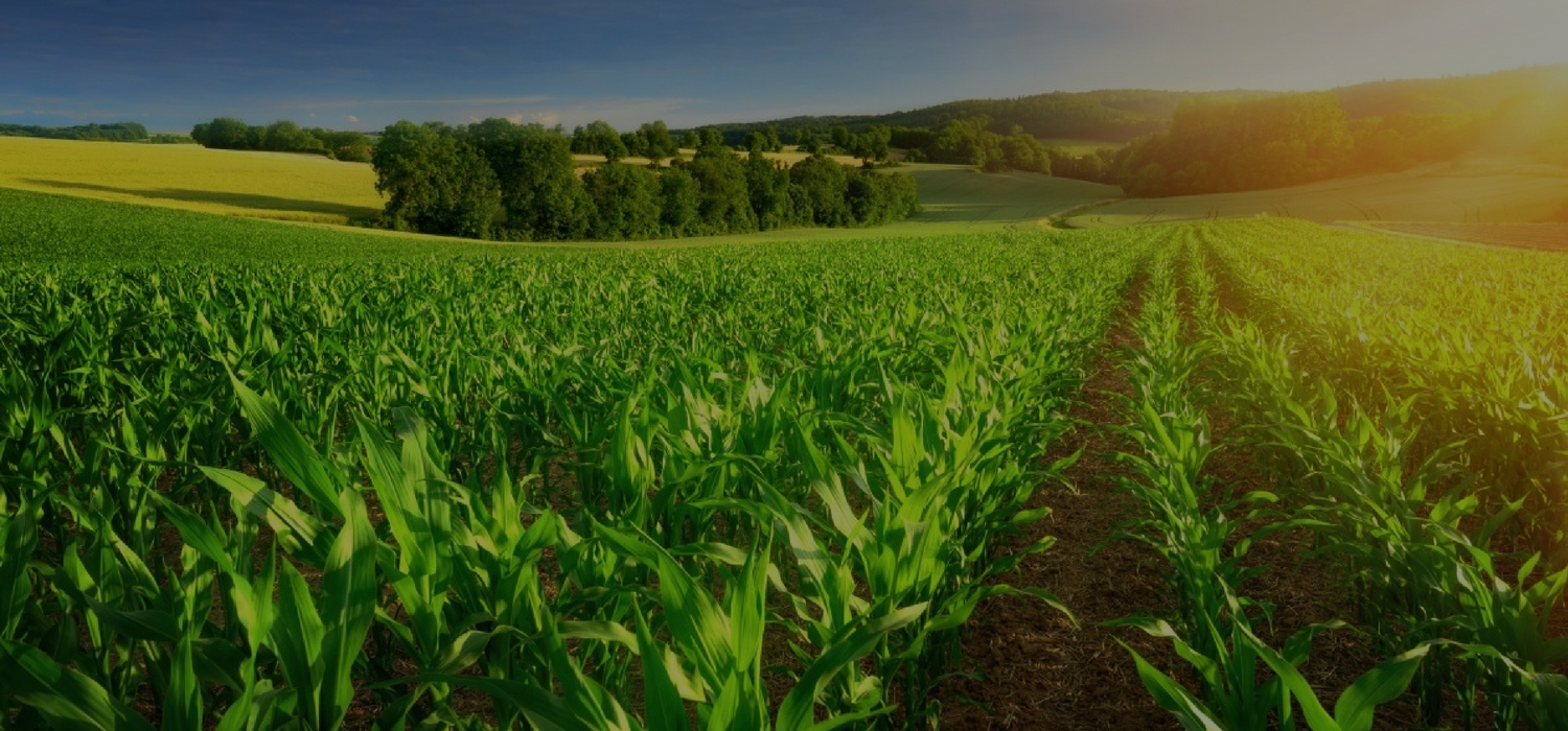 Conference on Agriculture and Crop Science.