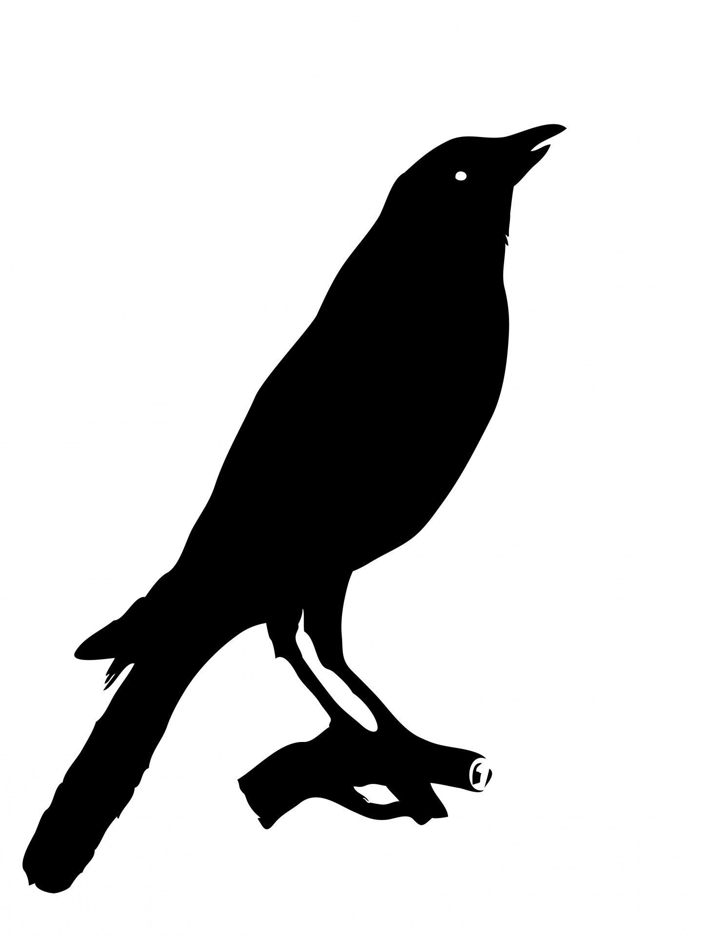 Bird Crow Clipart Free Stock Photo.