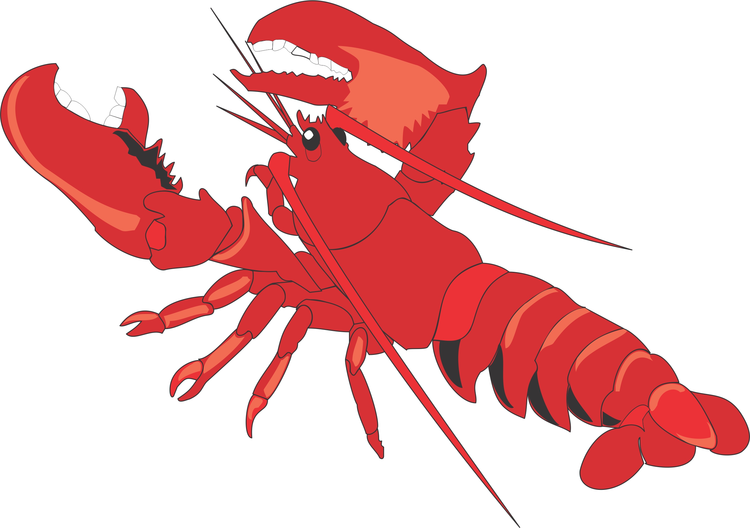 Lobster clipart lobster clip clipart cliparts for you.