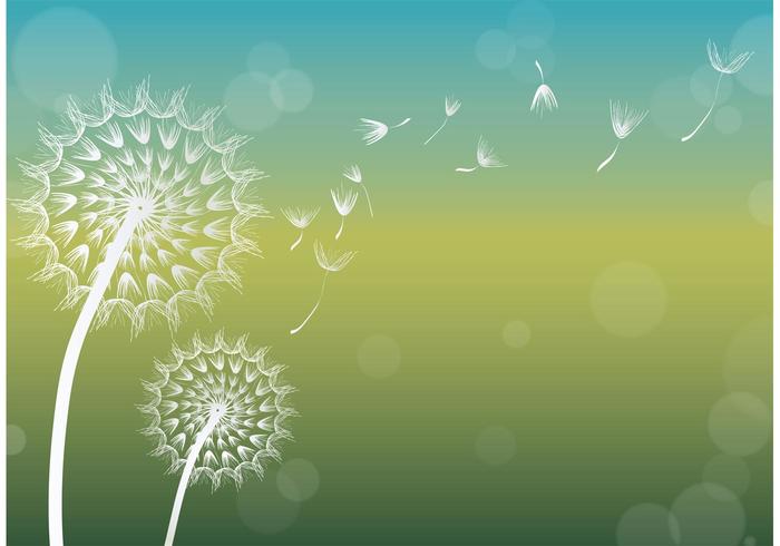 Dandelion Vector Background.