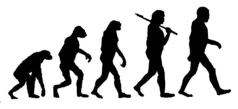 Darwin Clipart.