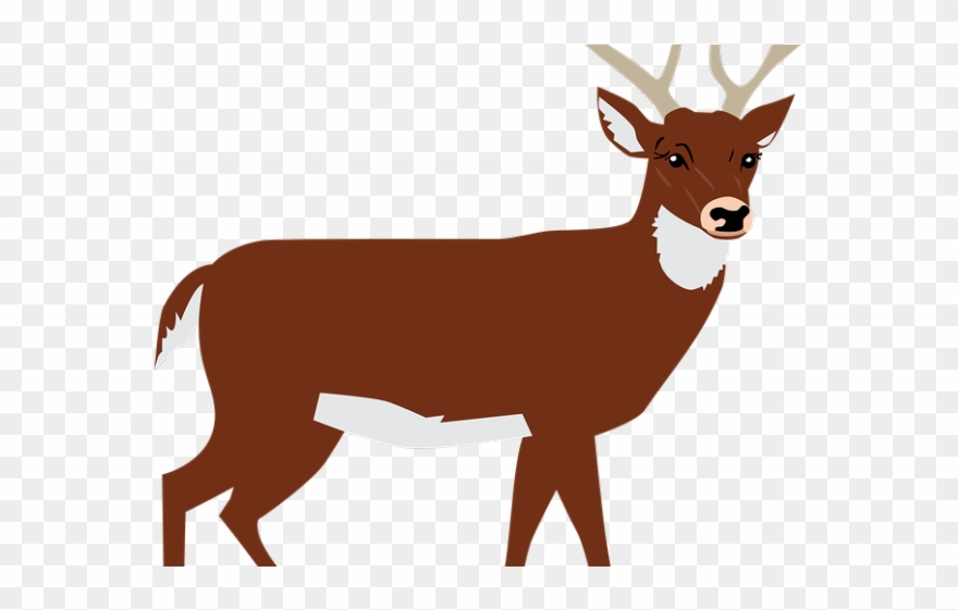 Forest Clipart Deer.