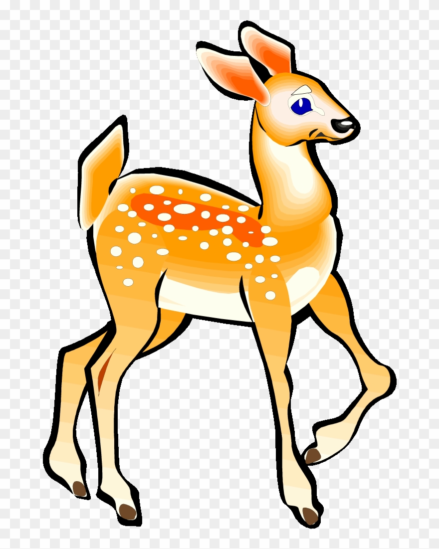 Free Deer Clipart Clipart Clipart.