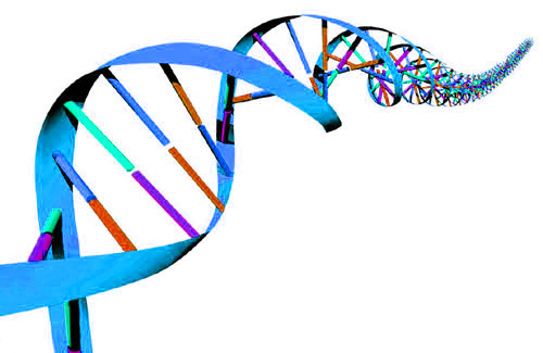 Dna clipart gif.