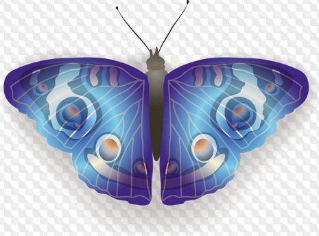 Mariposa clipart PNG y PSD (fondo transparente.