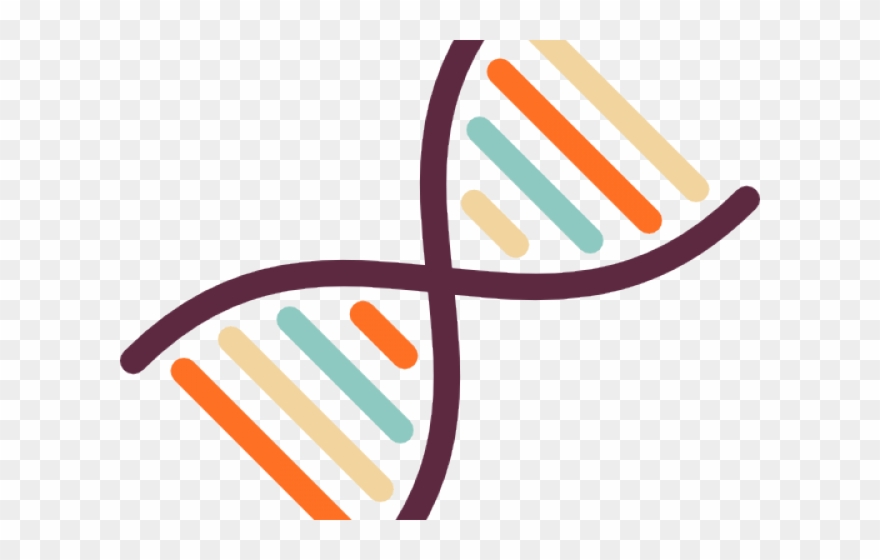 Dna Structure Clipart Clipart Transparent Background.