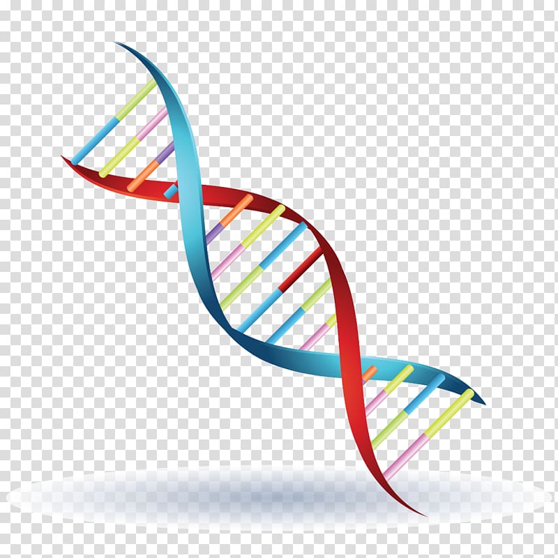 dna symbol clipart 10 free Cliparts | Download images on Clipground 2024