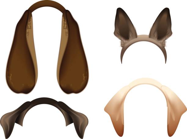 Set Dog ears mask isolated on white. Vector cartoon.