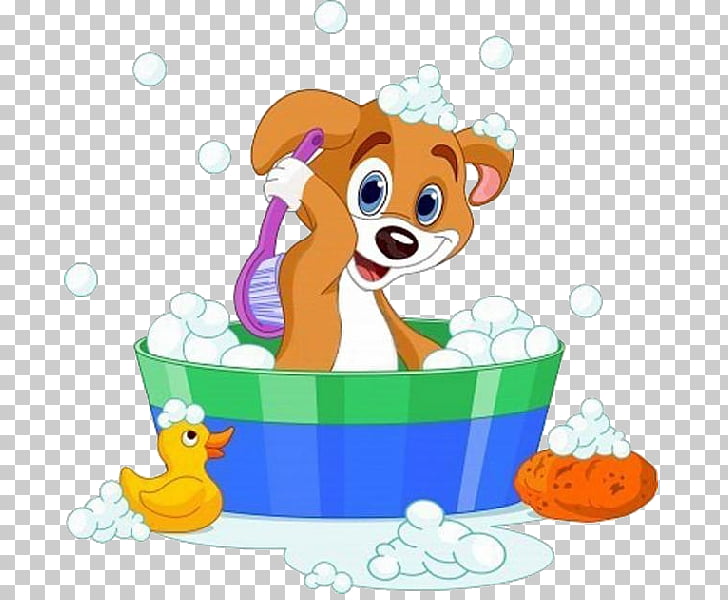 Dog Bathing , The dog a bath, brown dog brushing back PNG.