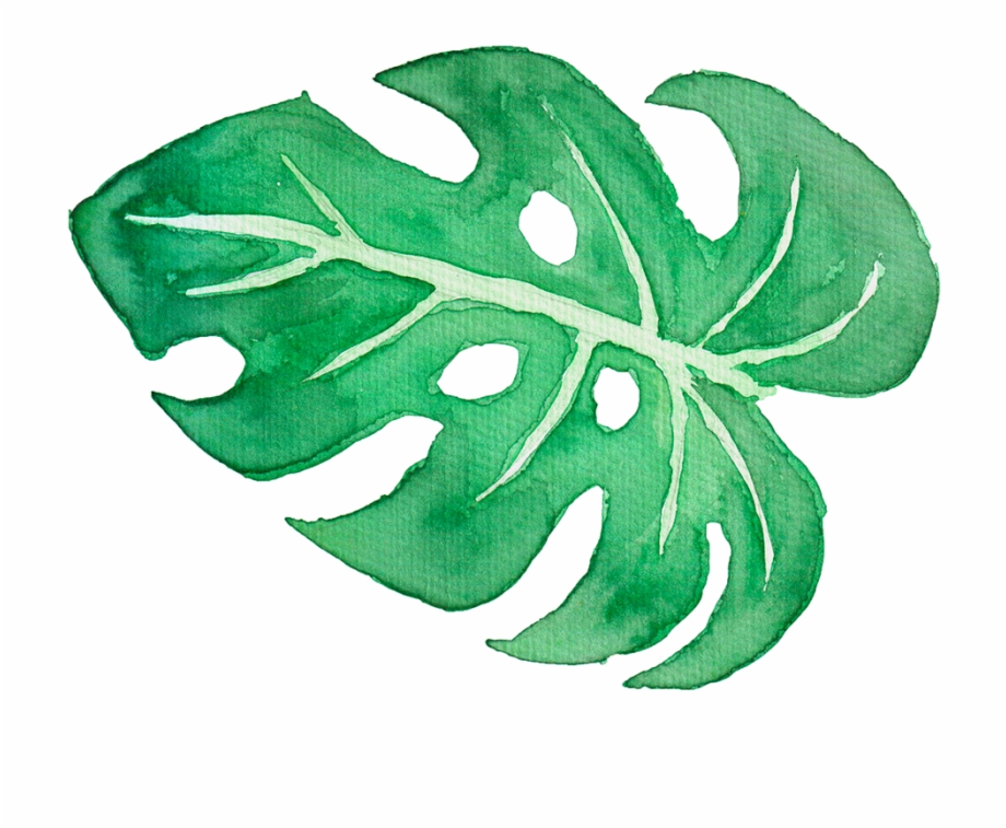 Tropical Leaves Watercolour Clipart.