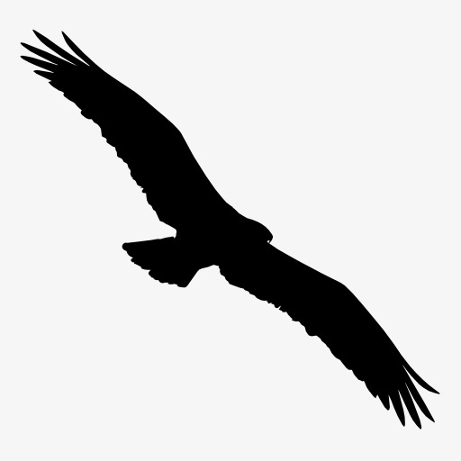 Eagle silhouette PNG clipart.