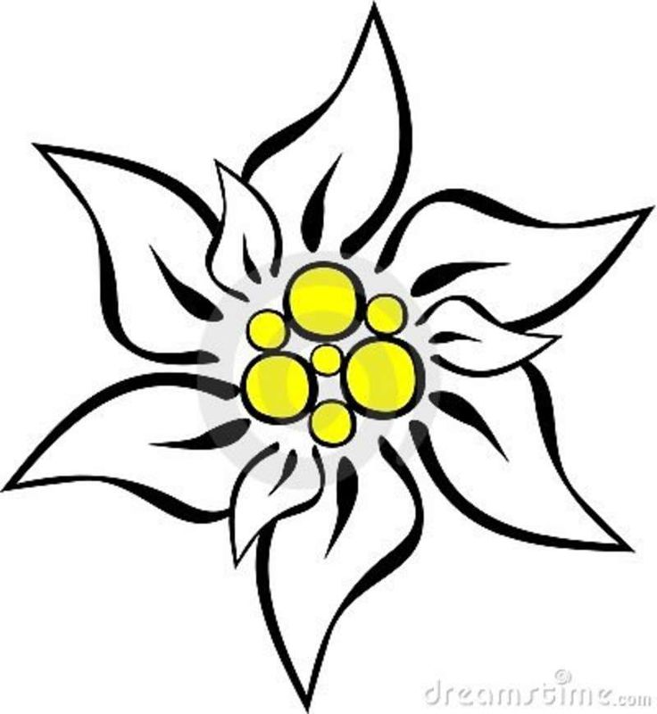 Edelweiss Flower Clipart.